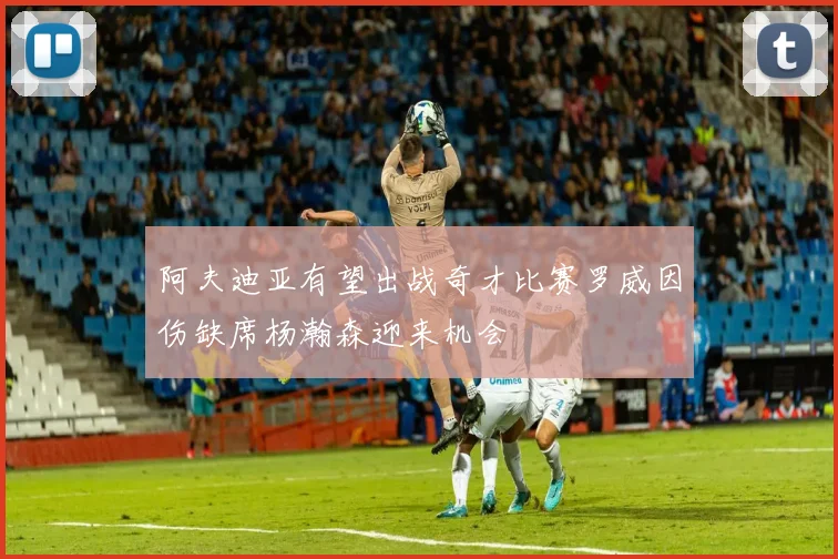 阿夫迪亚有望出战奇才比赛罗威因伤缺席杨瀚森迎来机会